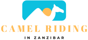 camel riding logo concepts